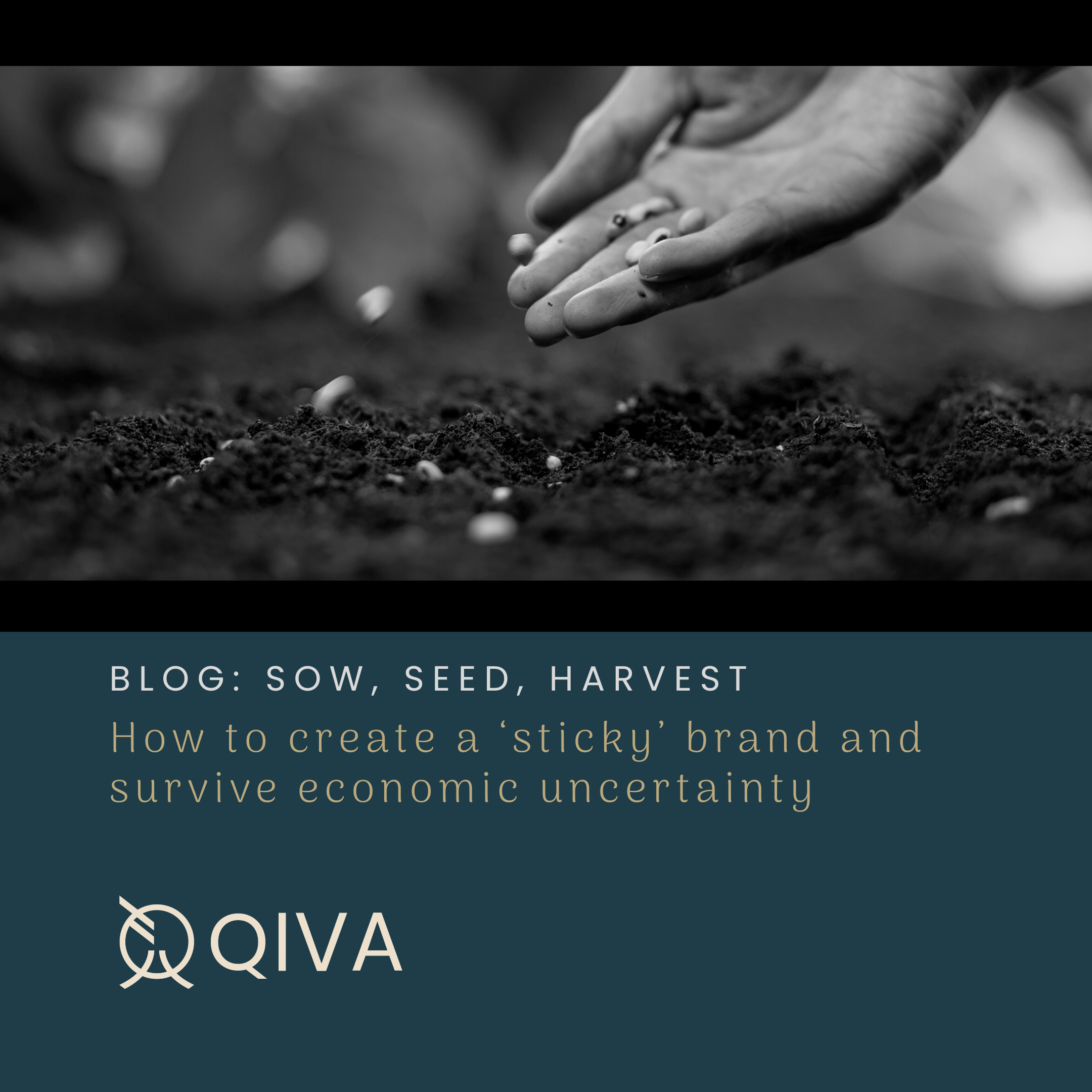 Sow, Seed, Harvest: How to create a ‘sticky’ brand and survive economic uncertainty- Featured Shot